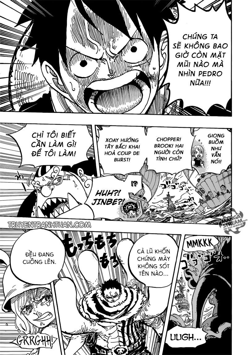 One Piece Chap 878